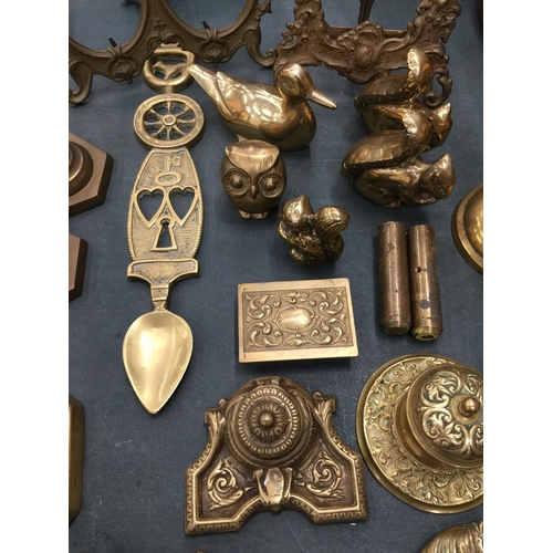 65 - A LARGE QUANTITY OF BRASSWARE TO INCLUDE CANDLESTICKS, INKWELLS, PHOTO FRAMES, ANIMALS, TRINKET BOXE... 