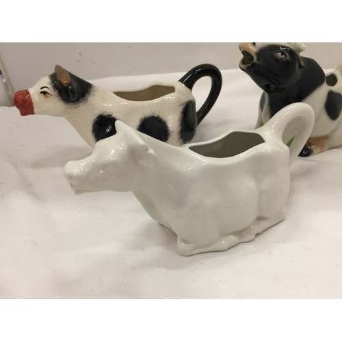 95 - THREE COW CREAMERS, TWO STAFFORDSHIRE