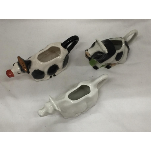 95 - THREE COW CREAMERS, TWO STAFFORDSHIRE