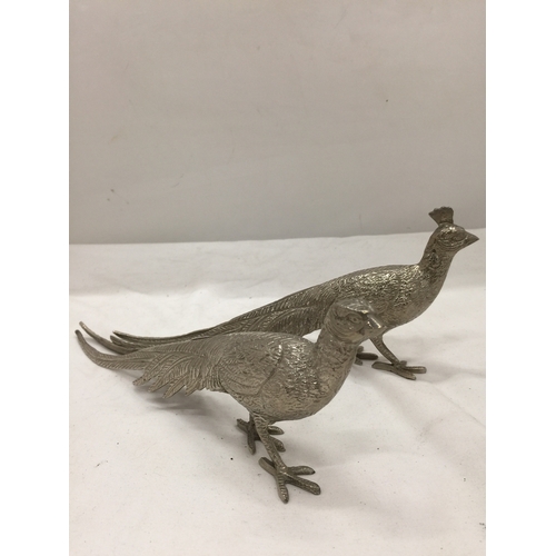 141 - A LARGE AND SMALLER  PAIR OF SILVER PLATED PHEASANTS