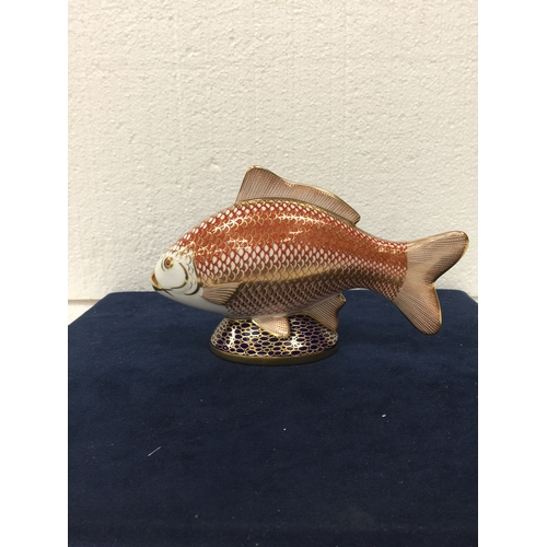 742 - A ROYAL CROWN DERBY GOLDEN CARP PAPERWEIGHT WITH GOLD STOPPER AND GOLD GILDING - FIRST QUALITY - 11.... 