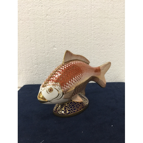 742 - A ROYAL CROWN DERBY GOLDEN CARP PAPERWEIGHT WITH GOLD STOPPER AND GOLD GILDING - FIRST QUALITY - 11.... 