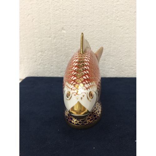 742 - A ROYAL CROWN DERBY GOLDEN CARP PAPERWEIGHT WITH GOLD STOPPER AND GOLD GILDING - FIRST QUALITY - 11.... 