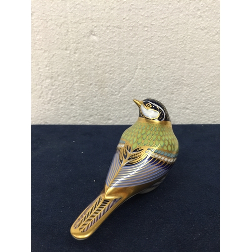 755 - A BOXED ROYAL CROWN DERBY GREAT TIT PAPERWEIGHT WITH GOLD STOPPER - 6.5CM (H) 11.5CM (W)