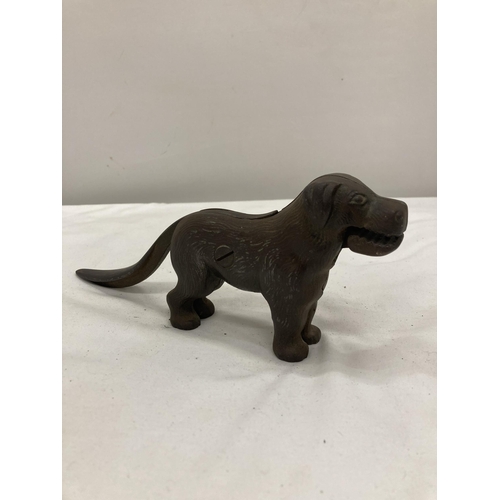 284 - A VINTAGE METAL NUTCRACKER IN THE SHAPE OF A DOG AND A BRONZE DOG'S HEAD CANE HEAD