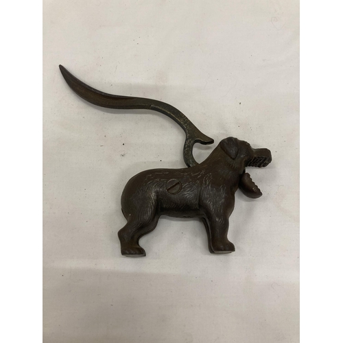 284 - A VINTAGE METAL NUTCRACKER IN THE SHAPE OF A DOG AND A BRONZE DOG'S HEAD CANE HEAD