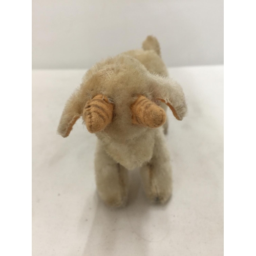 169 - A BELEIVED TO BE STEIFF GOAT HEIGHT 11CM - NO BUTTON IN EAR