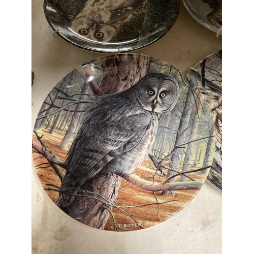 373 - A COLLECTION OF OWL PLATES BY DANBURY MINT NAMED THE 