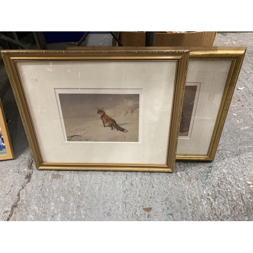 402 - TWO GILT FRAMED PRINTS, ONE OF A FOX IN SNOW, THE OTHER A RABBIT 50CM X 41.5CM