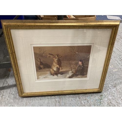 402 - TWO GILT FRAMED PRINTS, ONE OF A FOX IN SNOW, THE OTHER A RABBIT 50CM X 41.5CM