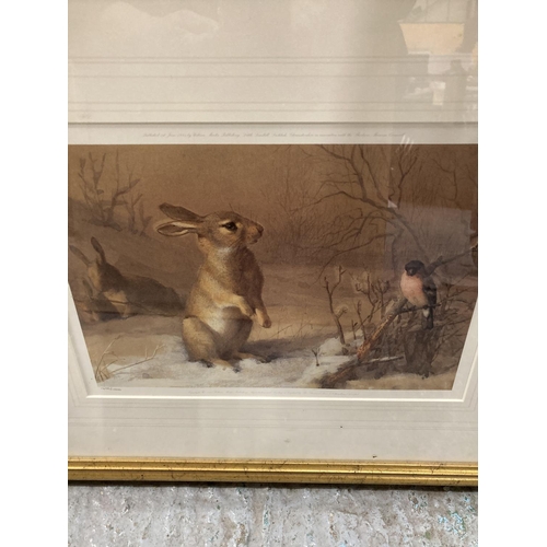 402 - TWO GILT FRAMED PRINTS, ONE OF A FOX IN SNOW, THE OTHER A RABBIT 50CM X 41.5CM