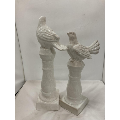 444 - TWO VINTAGE STYLE COLUMNS WITH PIGEONS HEIGHTS 45CM AND 39CM