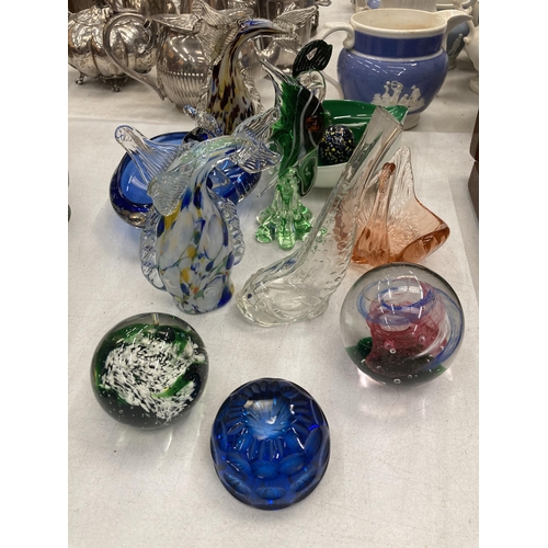 145 - A QUANTITY OF NOVELTY GLASSWARE TO INCLUDE MURANO STYLE GLASS FISH, 'DUCK' BOWLS, PAPERWEIGHTS, ETC