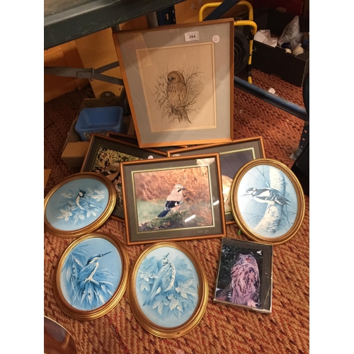 264 - A QUANTITY OF FRAMED PRINTS OF BIRDS TO INCLUDE OWLS, KINGFISHER, TITS, ETC