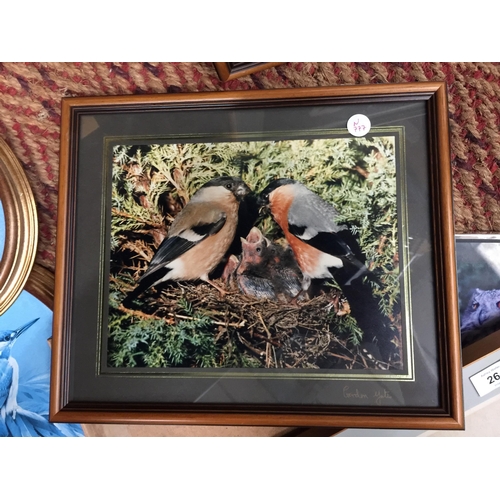 264 - A QUANTITY OF FRAMED PRINTS OF BIRDS TO INCLUDE OWLS, KINGFISHER, TITS, ETC