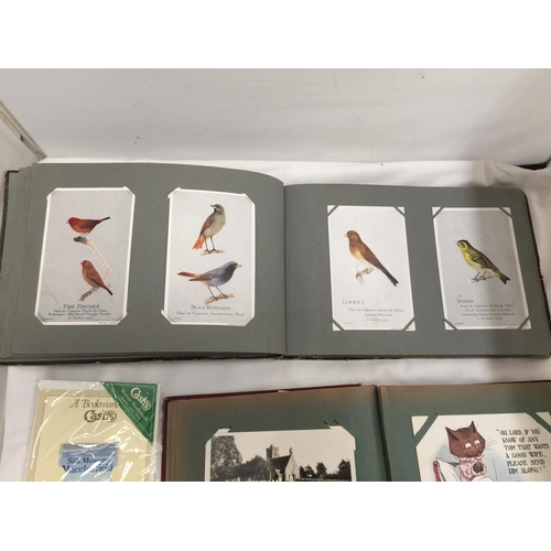 185 - A VINTAGE ALBUM CONTAINING A COLLECTION OF BIRD POSTCARDS PLUS  A PART FILLED POSTCARD ALBUM CONTAIN... 