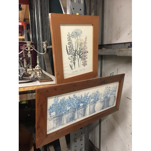 409 - TWO FRAMED 'HERB' PRINTS