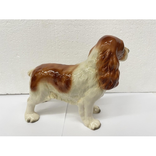 729 - A LARGE COOPERCRAFT SPANIEL