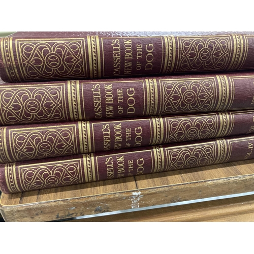 806 - A SET OF FOUR VINTAGE VOLUMES OF CASSELL' BOOK OF THE DOG'