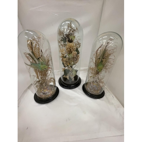 17 - THREE GLASS DOME CLOCHES ON WOODEN BASES ONE WITH DRIED FLOWERS AND THE OTHER TWO WITH FLOWERS AND T... 