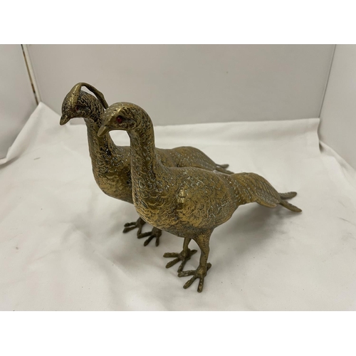 22 - TWO HEAVY BRASS PHEASANT FIGURES