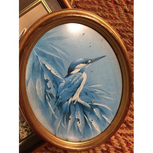 200 - A QUANTITY OF FRAMED PRINTS OF BIRDS TO INCLUDE OWLS, KINGFISHER, TITS, ETC