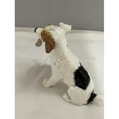 860 - A ROYAL DOULTON JACK RUSSELL WITH BONE FIGURE HN 1159