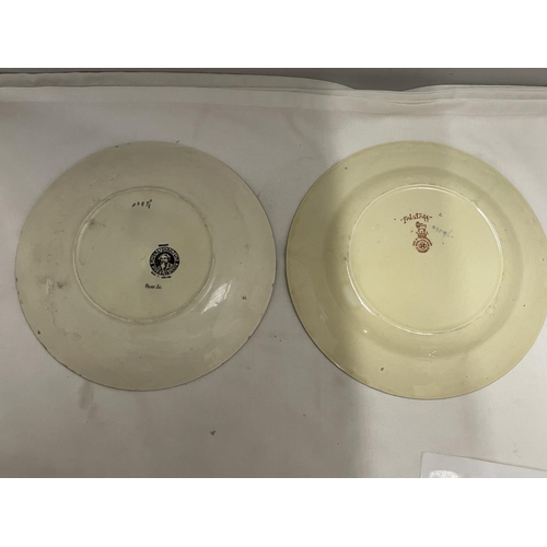 867 - TWO ROYAL DOULTON SERIES WARE CABINET PLATES