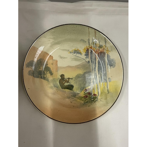 869 - TWO ROYAL DOULTON SERIES WARE CABINET PLATES