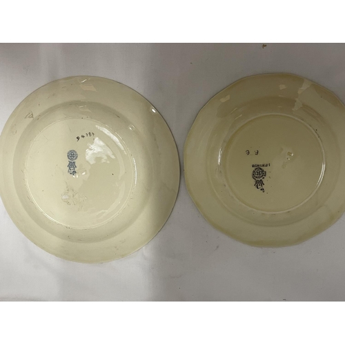 869 - TWO ROYAL DOULTON SERIES WARE CABINET PLATES