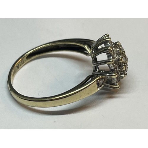 660 - A 9 CARAT GOLD DIAMOND CLUSTER RING SIZE N