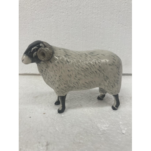 710 - A JOHN BESWICK BLACK FACED EWE - 14CM WIDE X 12CM