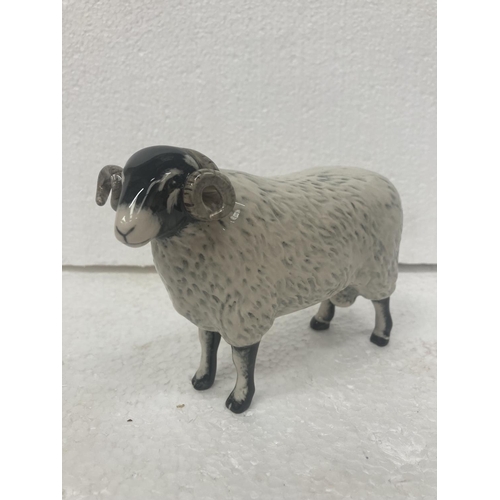 710 - A JOHN BESWICK BLACK FACED EWE - 14CM WIDE X 12CM