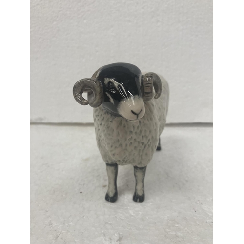 710 - A JOHN BESWICK BLACK FACED EWE - 14CM WIDE X 12CM