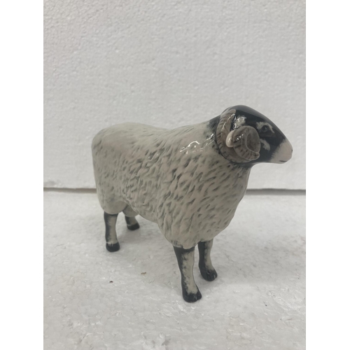 710 - A JOHN BESWICK BLACK FACED EWE - 14CM WIDE X 12CM