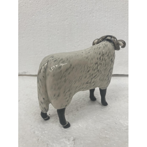 710 - A JOHN BESWICK BLACK FACED EWE - 14CM WIDE X 12CM