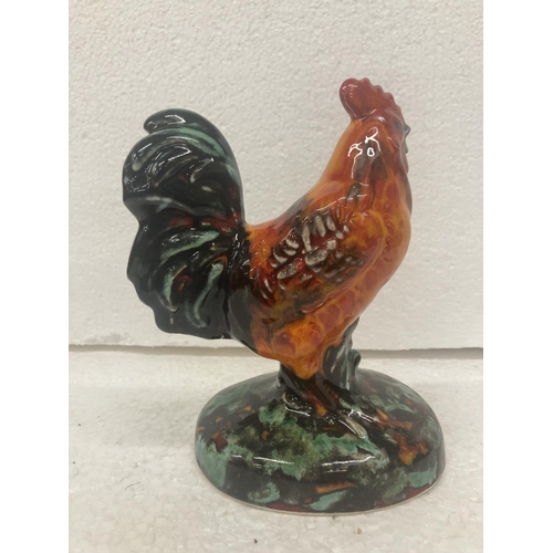 731 - AN ANITA HARRIS HAND PAINTED AND SIGNED IN GOLD COCKEREL - 16.5 CM