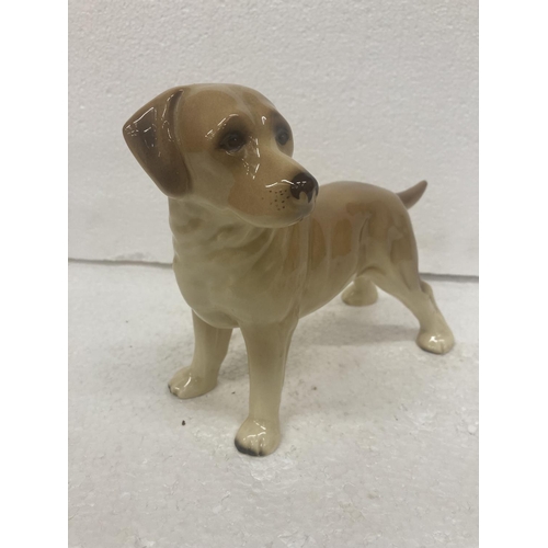 735 - A LARGE POTTERY DOG OF A LABRADOR