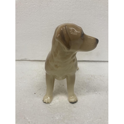 735 - A LARGE POTTERY DOG OF A LABRADOR