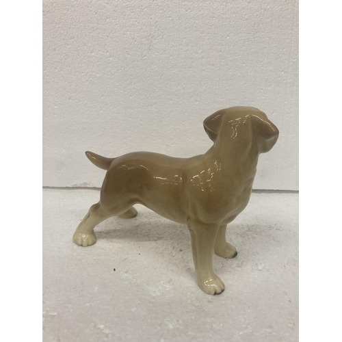 735 - A LARGE POTTERY DOG OF A LABRADOR