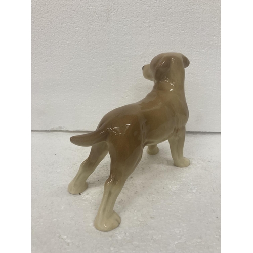 735 - A LARGE POTTERY DOG OF A LABRADOR