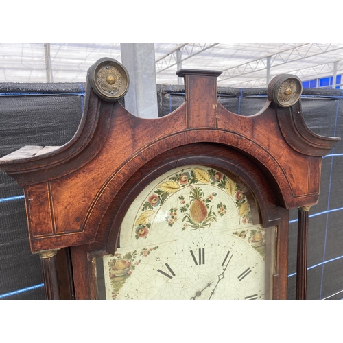 2564 - A 19TH CENTURY OAK AND CROSSBANDED 8 DAY LONGCASE CLOCK WITH ENAMEL DIAL