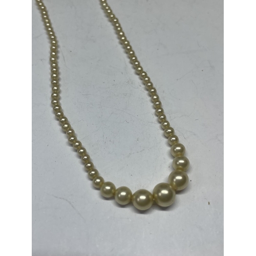 727 - A CIRO PEARL NECKLACE WITH SILVER CLASP