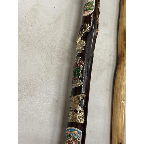 94 - FIVE WALKING STICKS TO INCLUDE A BRASS HEADED DOG AND HORSE, ONE WITH TOURIST BADGES, ETC