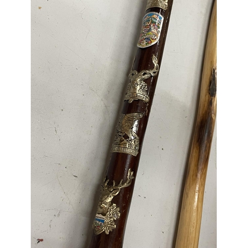 94 - FIVE WALKING STICKS TO INCLUDE A BRASS HEADED DOG AND HORSE, ONE WITH TOURIST BADGES, ETC