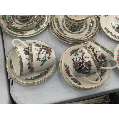 221 - A QUANTITY OF LORD NELSON POTTERY 'INDIAN TREE' TO INCLUDE CUPS, SAUCERS, PLATES AND A COFFEE POT - ... 