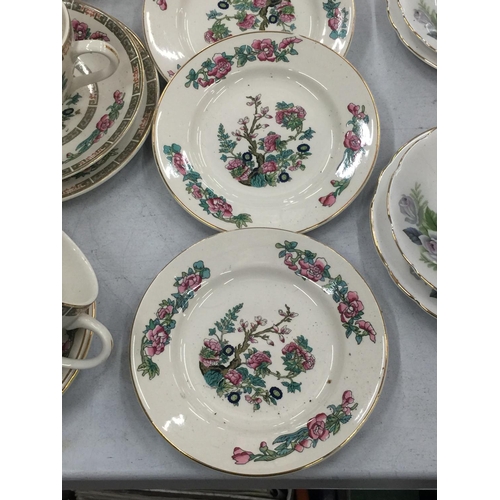 221 - A QUANTITY OF LORD NELSON POTTERY 'INDIAN TREE' TO INCLUDE CUPS, SAUCERS, PLATES AND A COFFEE POT - ... 