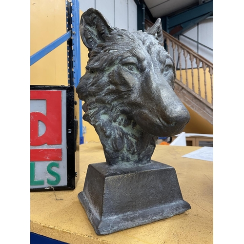 45 - A RECONSTITUTED STONE BUST OF A WOLF