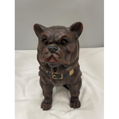49 - A CAST FIGURE OF A BULLDOG WITH GLASS EYES
