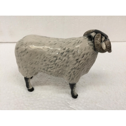 787 - A JOHN BESWICK BLACK FACED EWE - 14CM WIDE X 12CM